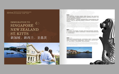 原創(chuàng)作品:成都投資移民企業(yè)畫冊策劃設計/成都移民企業(yè)畫冊設計
