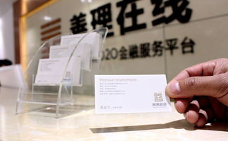 金融投資標(biāo)志 logo vi設(shè)計 金融投資畫冊設(shè)計