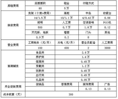 嬰童店開(kāi)店投資計(jì)劃書（三） 投資策劃與實(shí)施方案